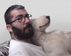 Ezt a srácot 30. szülinapján igazi ajándékként szépen elhagyta a felesége, még ki is semmizte. Konkrétan semmit nem hagyott neki otthon csak a kutyáját Jimmy Chooot egy bull terriert. Amit a férfi ezután tedd az téged is meg fog lepni