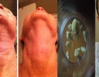 Ez az elképesztő fokhagymás recept egy hét alatt eltünteti minden ráncodat!