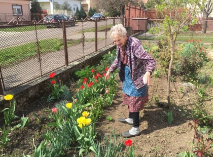 Ezen a nénin verte el az ország baját egy közterület-felügyelő és egy biztonsági őr