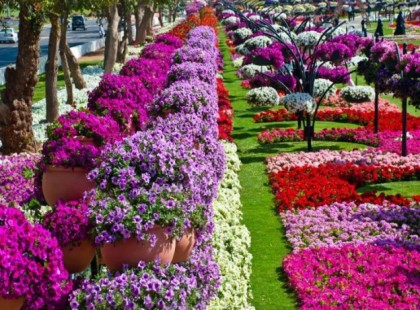 FOGD AZ ECE­TET ÉS VIDD KI A KERTBE! ÓRI­ÁSI SE­GÍT­SÉG!