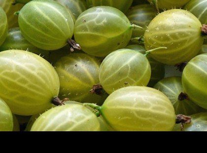 Ez az apró gyümölcs a világ egyik legerősebb antioxidánsa, 20x annyi c-vitaminnal, mint amennyi a narancsban van