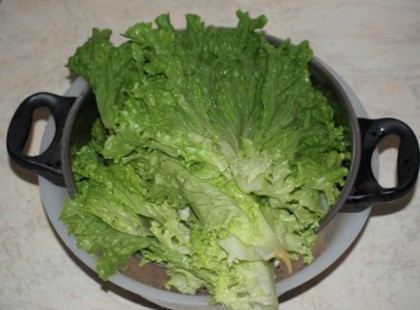 Nagymamáink házi praktikái - 46 praktika a háztartásban amit nem árt tudni