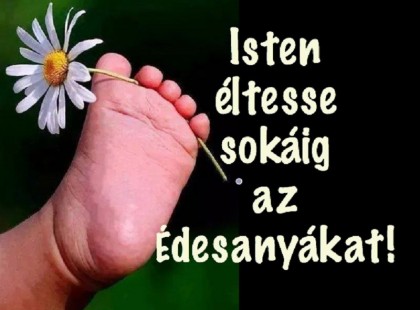 Isten éltesse sokáig az Édesanyákat ,egészséggel, minden jóval, örömmel, minden jókívánságuk váljon valóra! Az év minden napjára elégedett, boldog napokat Nekik!