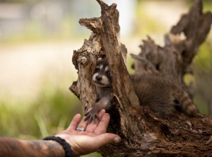 23 fénykép, amit nem tudsz megnézni anélkül, hogy ne éreznél valamit