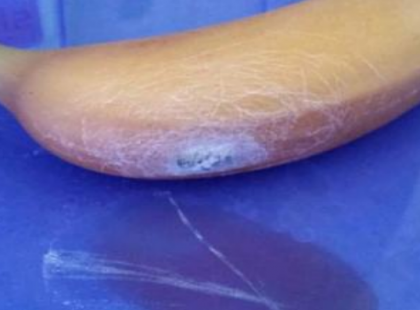 Ne edd meg a banánt, ha ezt látod rajta! Megölhet!