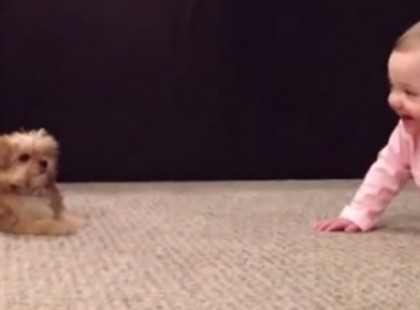 Oltári párbeszédet vág le a kisbaba és az apró kutyus