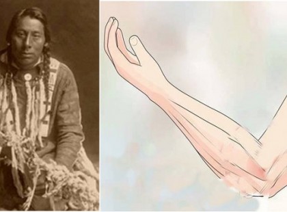 12 NÖVÉNY, AMIVEL AZ INDIÁNOK MINDEN BETEGSÉGET GYÓGYÍTOTTAK (AZ ÍZÜLETI PROBLÉMÁKTÓL A RÁKIG)