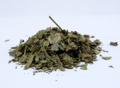 A diófalevél csodás gyógyító hatása