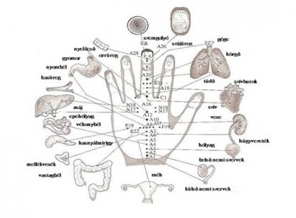Titkos japán módszer, ami percek alatt meggyógyítja a beteg szerveket