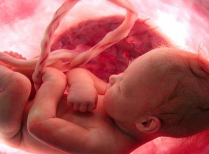 2024-év legszebb videója! Ezt látnod kell!: 9 hónap a méhben néhány percben