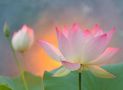 Május 21-én tízmilliószoros nap van! Eljött az idő, hogy valóra váltsd az álmaidat!