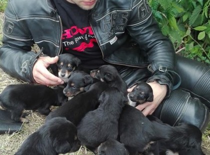 Ez a motoros 12 árokpartra dobott kölyökkutyát mentett meg Mezőkovácsházánál - Ő lett a nap hőse <3