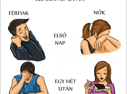 14 rajz a férfiak és nők közti elképesztő különbségekről