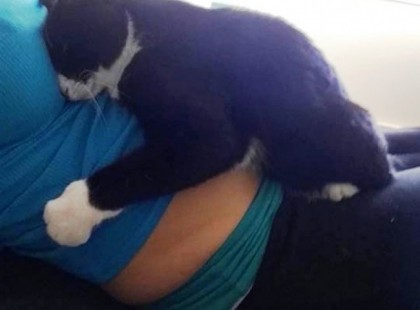 Ez a macska beleszeretett a babába, mielőtt megszületett és most őrzi őt minden alkalommal