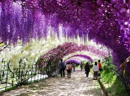 16 legszebb tavaszi sétány, a világ minden tájáról