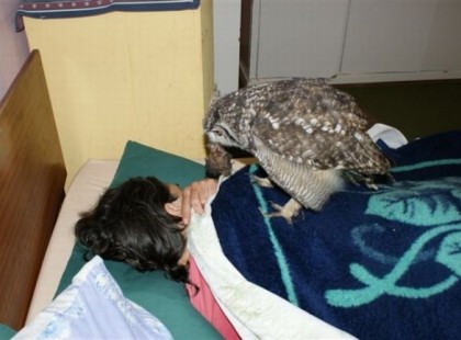 Ez történik, amikor egy bagoly úgy dönt, hogy megköszöni a férfinak azt, hogy felajánlotta segítő kezeit