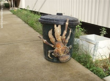 Az agyam nem akarta elhinni, amit a szemem látott. Ez a 20 állat tiszta elmezavar!