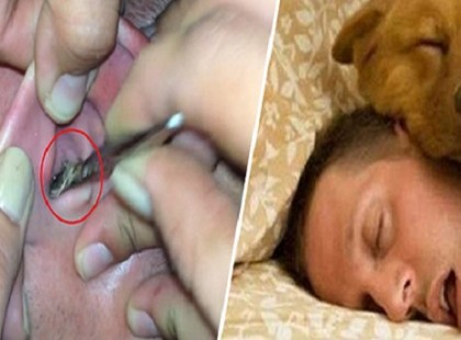 SOHA NE ALUDJ A HÁZIÁLLATODDAL, AZ ÉLETEDBE KERÜLHET