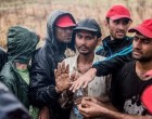 Hercegszántónál áttörték a kerítést a migránsok – özönlenek a Mohács-szigetre