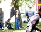 Egyre nagyobb a baj Horgoson! A migránsok uralják a falut!