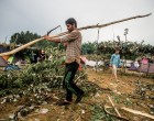 Migránsok fosztogatják a kerteket Horgoson, a gazdáknak kezd elfogyni a türelmük