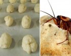 EZZEL A HATÉKONY MÓDSZERREL AZ ÖSSZES CSÓTÁNYT KIŰZHETED A HÁZBÓL!