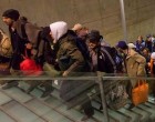 Így csempészik be a migránsokat !Média erről mélyen hallgat!