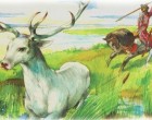 GENETIKAI SZEMPONTBÓL KIK A MAGYAROK IGAZI ŐSEI?