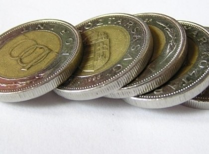 Napi 400 forintból eteti családját ez a háziasszony: így csinálja