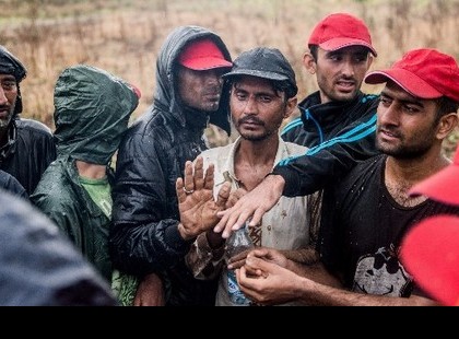 Hercegszántónál áttörték a kerítést a migránsok – özönlenek a Mohács-szigetre