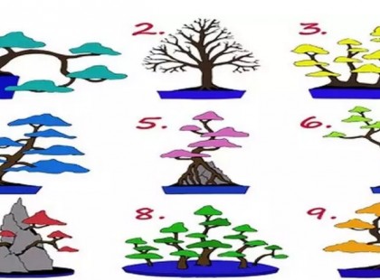 VÁLASSZ EGY FÁT ÉS MEGMONDJUK, MIT ÁRUL EL RÓLAD! NEM IS GONDOLNÁD, MILYEN IGAZ!