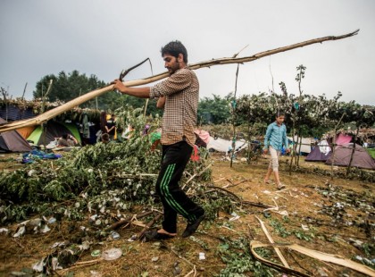 Migránsok fosztogatják a kerteket Horgoson, a gazdáknak kezd elfogyni a türelmük