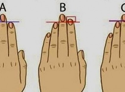 TE MELYIK TÍPUSBA TARTOZOL?