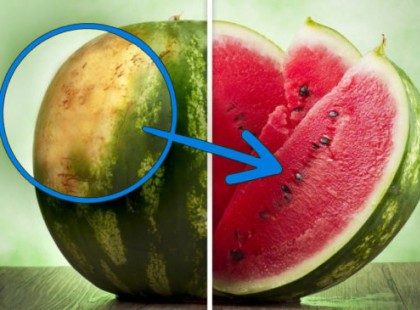 Hogyan válasszuk ki a tökéletes görögdinnyét: tippek egy tapasztalt gazdától