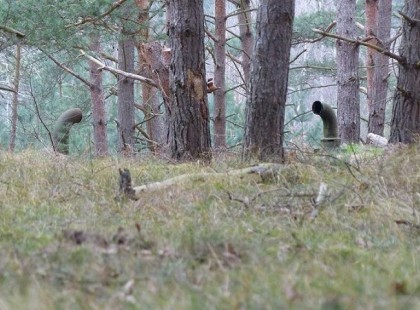 Az erdőben barangoltak, amikor meglátták ezeket a csöveket… halálra rémültek, amikor meglátták mi van alatta!