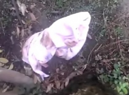 VALAMI MOZGOTT A PORBAN EGY CSOMAGBAN! A FÉRFI LEHAJOLT ÉS SOKKOT KAPOTT...