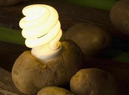 EGY DARAB BURGONYÁVAL AKÁR EGY HÓNAPIG IS VILÁGÍTHATSZ!