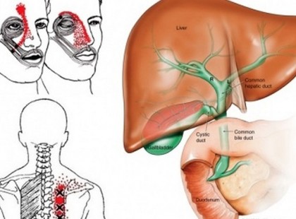 HA EZEKET A TÜNETEKET TAPASZTALOD, AZONNAL FORDULJ ORVOSHOZ A MÁJADDAL!