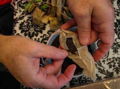 A LEGNÉPSZERŰBB FILTERES TEÁK TELE VANNAK MÉRGEZŐ PERMETTEL, ITT A LISTA!