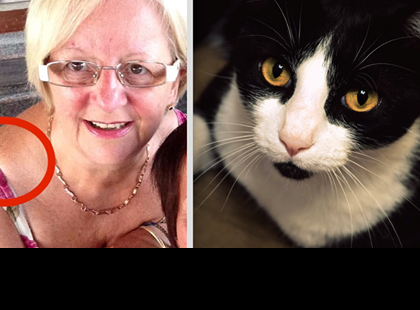 MACSKÁJA A VÁLLÁT ÜTÖGETTE SZÜNTELENÜL, DE A NŐ MINDIG ELZAVARTA... MIKOR MEGÉRTETTE MIT AKAR ÜZENNI, TÖBBÉ NEM HAGYTA FIGYELMEN KÍVÜL!