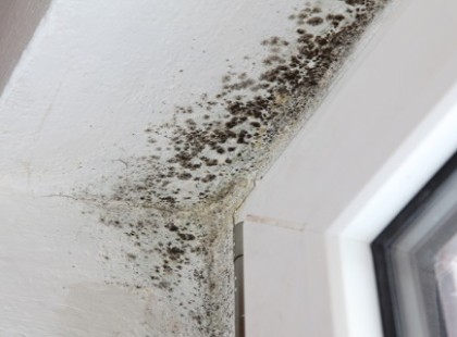 HASZNÁLD EZT AZ EGYSZERŰ KEVERÉKET, ÉS NEM LESZ TÖBBÉ GONDOD A PENÉSZES FALAKKAL!