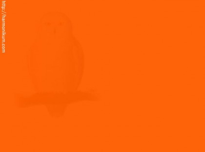 Csak az introvertált emberek fogják látni ezt a 10 rejtett képet, és EZÉRT van