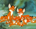 Wolf Kati - Vuk Dala