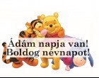 Ádám napja van! Boldog névnapot!