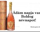 Ádám napja van! Boldog névnapot!