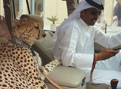 18 lehetetlen pillanat, ami valószínűleg csak Dubajban történhet meg