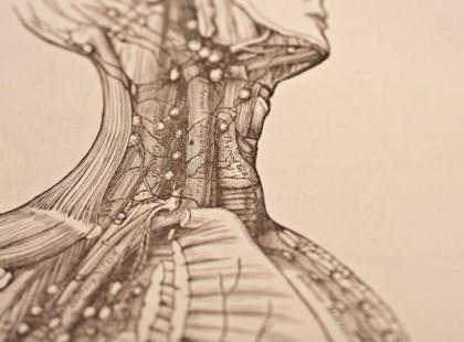 A fáradtság, a betegségek jelzik, hogy telítődött a nyirokrendszer! Hogyan tisztíthatod meg?