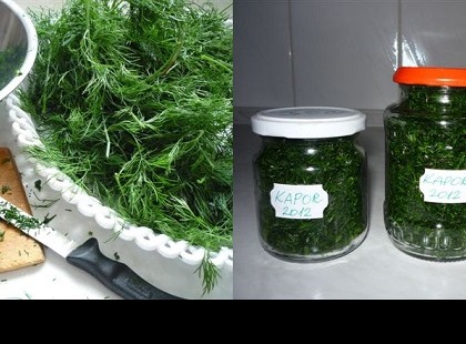 ÍGY TEDD EL TÉLIRE A KAPROT POFONEGYSZERŰEN, MÉLYHŰTÉS NÉLKÜL