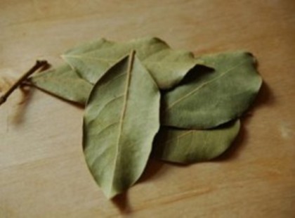 Zseniális! Tégy egy pár babérlevelet a ház minden sarkába! Hogy miért? Örökre megoldódik egy nagy problémád, mi imádjuk ezt a módszert!