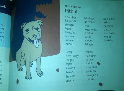 3. osztályos olvasókönyv... ^gratulálok^ a szerzőnek és azoknak akik szerint ezzel kell tanítani.
